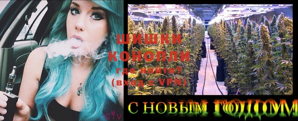 ГАЛЛЮЦИНОГЕННЫЕ ГРИБЫ Медвежьегорск