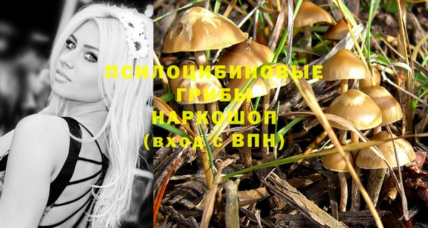 синтетический гашиш Михайловск