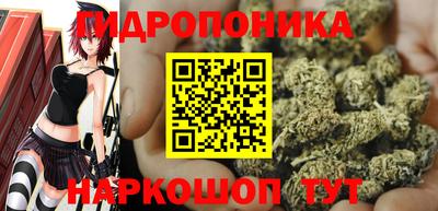 MDMA Гатчина