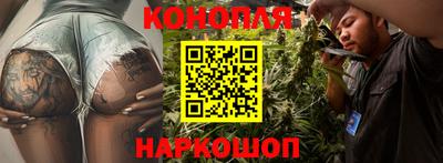 прущие крисы Гай