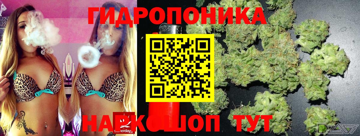 Конопля OG Kush Ижевск
